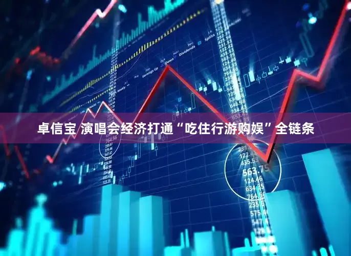 卓信宝 演唱会经济打通“吃住行游购娱”全链条