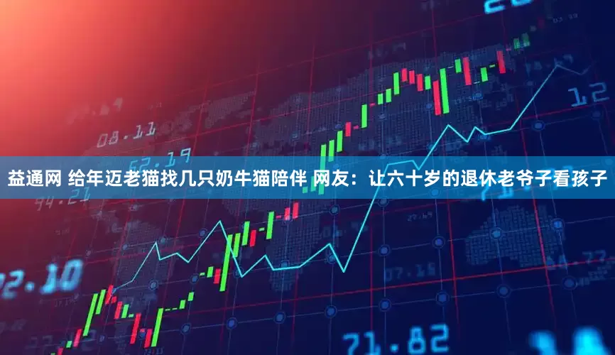 益通网 给年迈老猫找几只奶牛猫陪伴 网友：让六十岁的退休老爷子看孩子